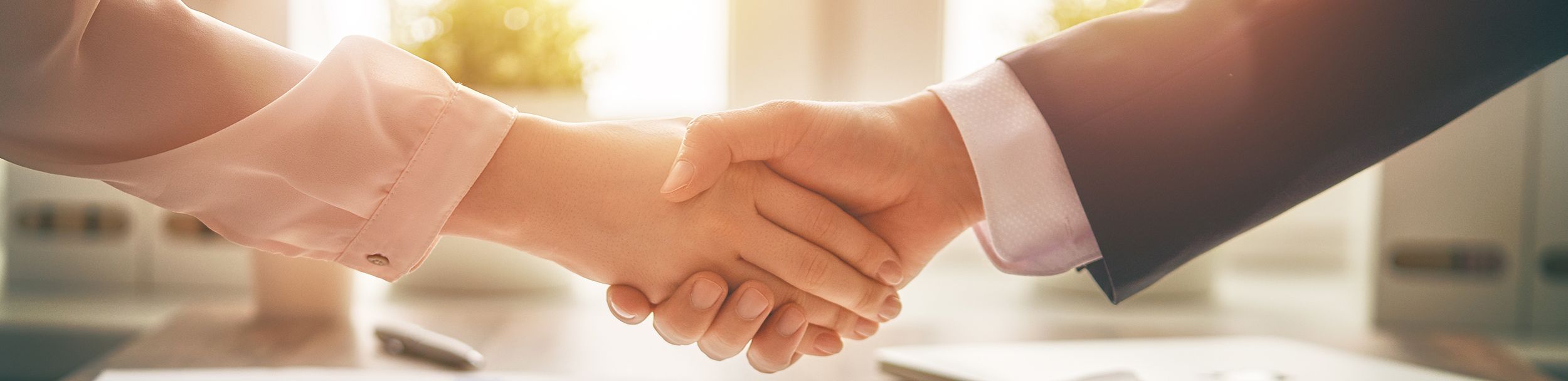 Faailyet alanları banner resmi